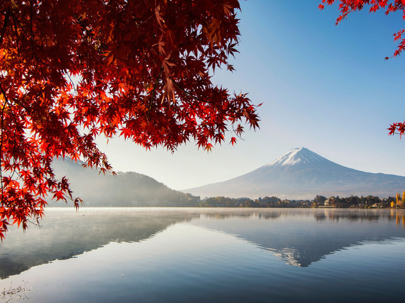 Comfort Japonya & Kore Turu Türk Hava Yolları ile 9 Gece Ekstra Turlar ve Çay Seremonisi Dahil Sakura 2026 Dönemi