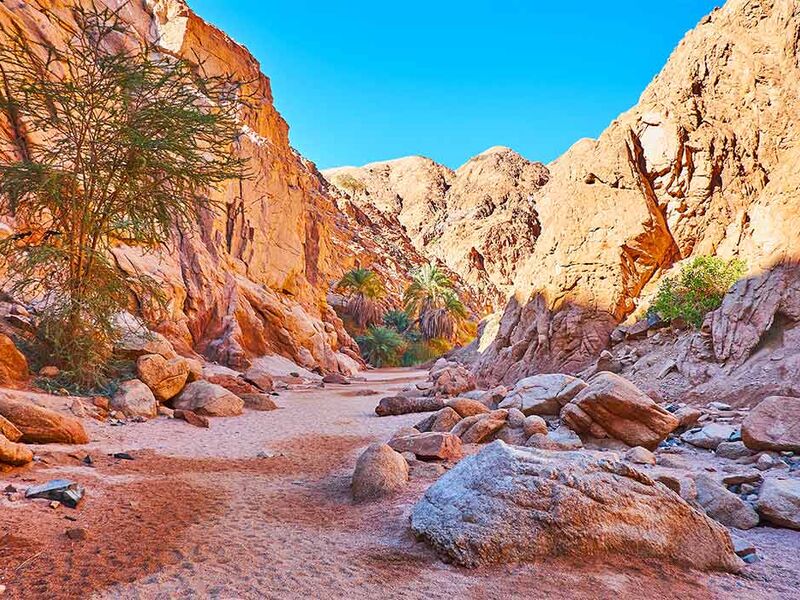 Sömestre Özel Sharm Kahire ve İskenderiye Masalı (7 Gece - 8 Gün)