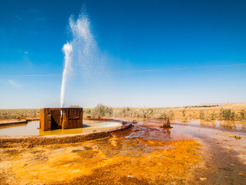 2026 Kış Dönemi Görkemli Fas Krallığı ve Mistik Şehirler (Tüm Turlar ve Akşam Yemekleri Dahil) AT1002
