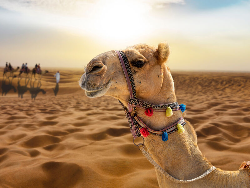 Dubai Serüveni Fly Dubai Hava Yolları ile 4 Gece 2026 Dönemi