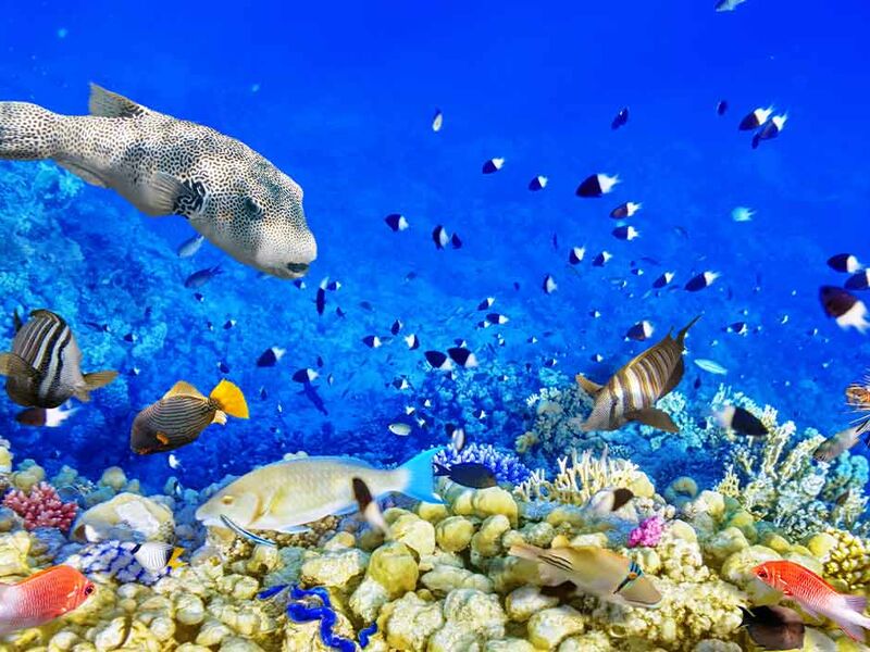 Baştanbaşa Mısır Masalı (Hurghada – Kahire – Sharm) 8 Gece – 9 Gün (7 Gece Otel Konaklaması)