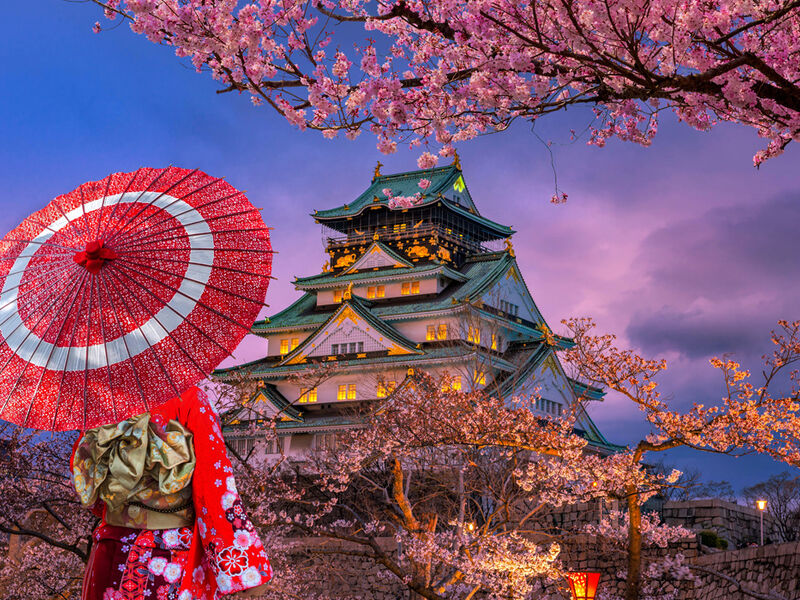 Comfort Japonya & Kore Turu Türk Hava Yolları ile 8 Gece Ekstra Turlar ve Çay Seremonisi Dahil ICN-KIX 2026