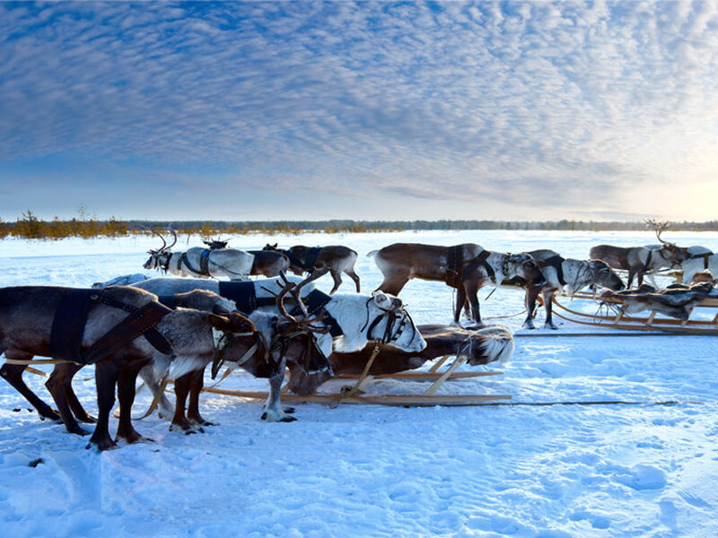 Comfort Lapland Turu Türk Hava Yolları ile 3 Gece (RVN-RVN) 2026 Dönemi