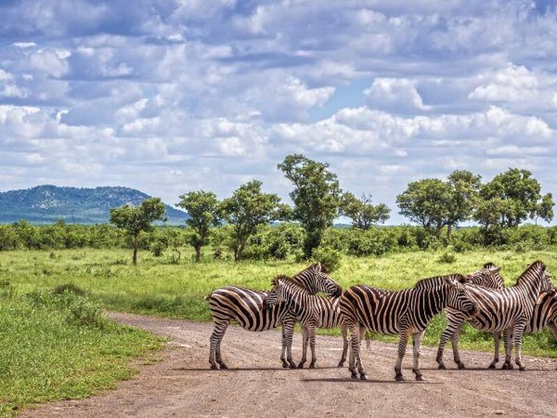Güney Afrika Serüveni Türk Hava Yolları ile 6 Gece CPT - JNB 2026 Dönemi
