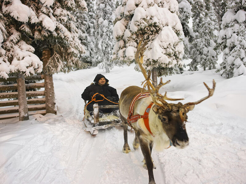 Comfort Lapland Turu Türk Hava Yolları ile 3 Gece (RVN-RVN) 2026 Dönemi