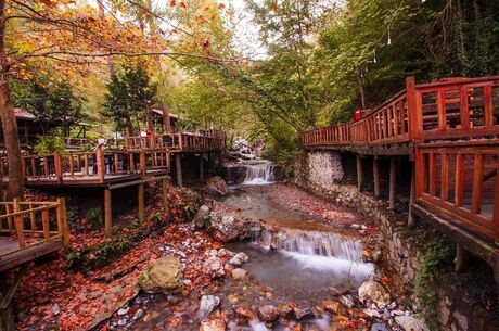 Günübirlik Maşukiye Cam Teras Ormanya Hobbit Evleri Turu