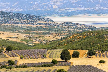 Lavanta Festivali Salda Gölü Pamukkale Turu 1 Gece Konaklama