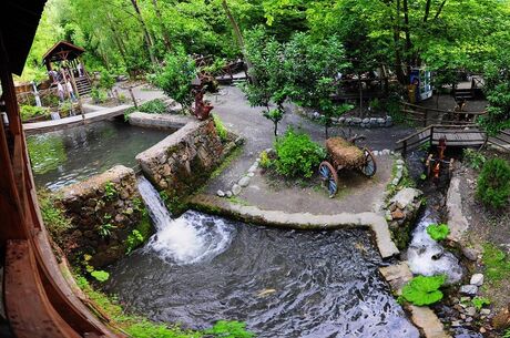 Günübirlik Maşukiye Cam Teras Ormanya Hobbit Evleri Turu