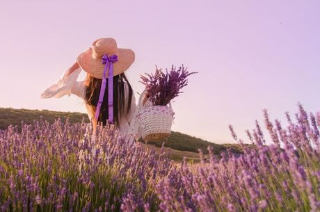 Lavanta Festivali Salda Gölü Pamukkale Turu 1 Gece Konaklama