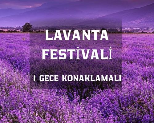 Lavanta Festivali Salda Gölü Pamukkale Turu 1 Gece Konaklama