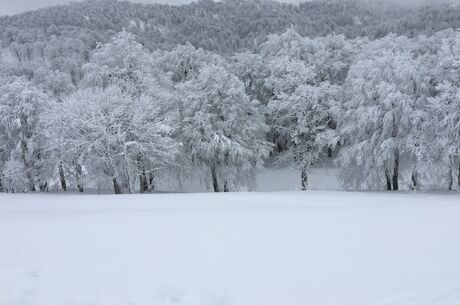 Günübirlik Kartepe Turu