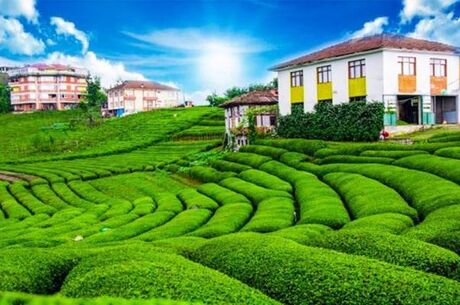 Doğu Karadeniz Turu / 3 gece 4 Gün / (2 Gece Otel konaklamalı) / İstanbul Çıkışlı