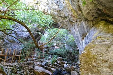 İğneada Dupnisa Mağarası Longoz Ormanları Turu / Günübirlik / İstanbul Kalkışlı