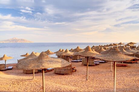 Sharm El Sheikh Turu